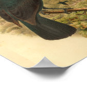 Obi Paradise Crow Bird Print (Hoek)