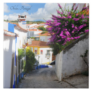 Obidos, Portugal Tegeltje