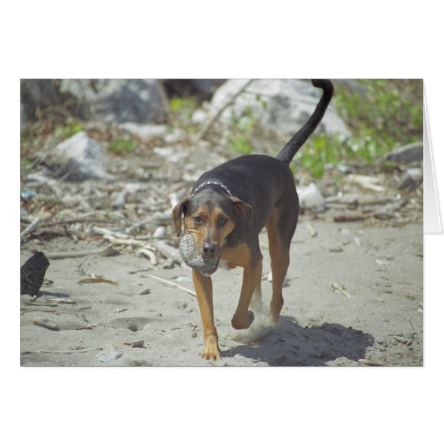 Obie Card  (Voorkant Horizontaal)