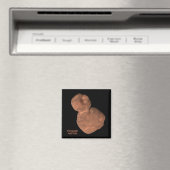 Object Arrokoth Kuiper Belt Magneet (Insitu (Vaatwasser))