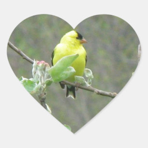 Objecten met zomerzangvogels hart sticker