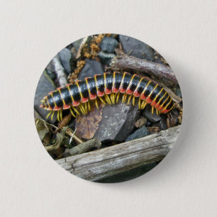 Objecten uit de Millipede-reeks Ronde Button 5,7 Cm