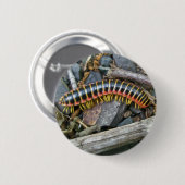 Objecten uit de Millipede-reeks Ronde Button 5,7 Cm (Voorkant /achterkant)