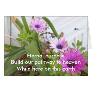 Objectif éternel Prpl Daisies