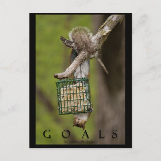 OBJECTIFS Cartes postales Inspiration Funny Squirr (Devant)