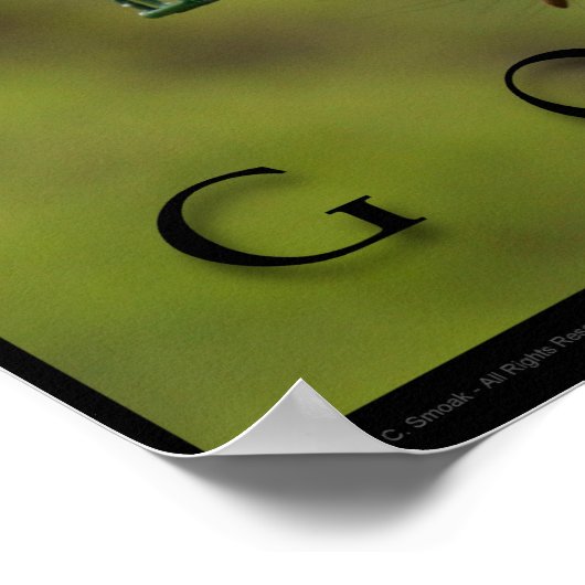 OBJECTIFS Inspiration Funny Squirrel Poster Imprim (Coin)