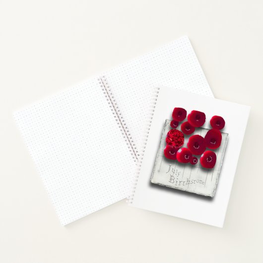 objet_4_variations sur le cahier spirale ruby (Intérieur)