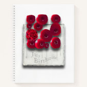 objet_4_variations sur le cahier spirale ruby (Devant)