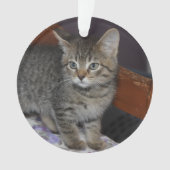 Objet de famille chat photo 2 faces (devant)
