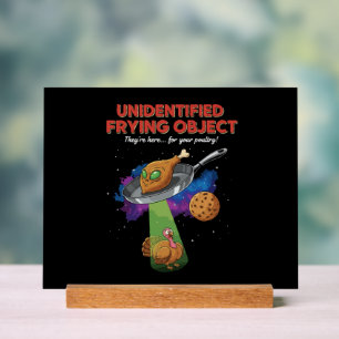 Objet Frit Non Identifié Drôle d'Alien UFO Dinde