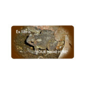 Objets de coordination Ex libris Stickers (Devant)