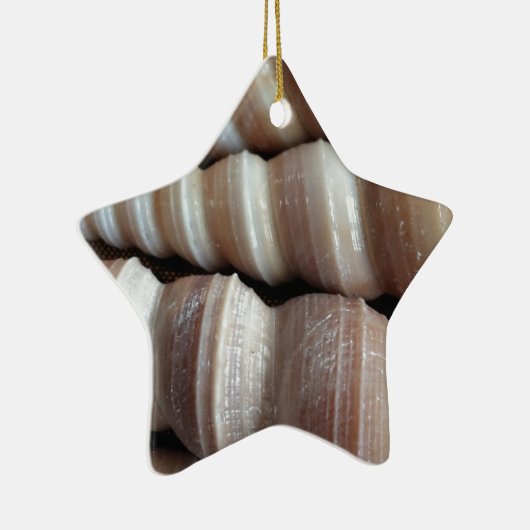 Oblong Summer Seashells, Summer Season Keramisch Ornament (Rechts)