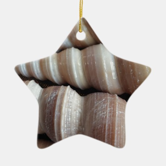 Oblong Summer Seashells, Summer Season Keramisch Ornament (Voorkant)