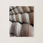 Oblong Summer Seashells, Summer Season Legpuzzel (Verticaal)