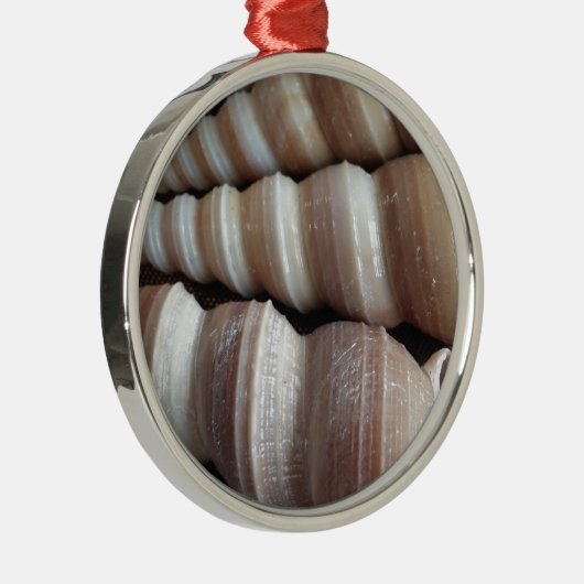 Oblong Summer Seashells, Summer Season Metalen Ornament (Rechts)