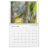 Obscure Anoles 2016 - An Anole Annals Production Kalender (Jan 2026)