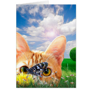 Observateur de papillons