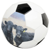 Observateurs de Bovine (3/4)