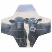Observateurs de Bovine (Plat)