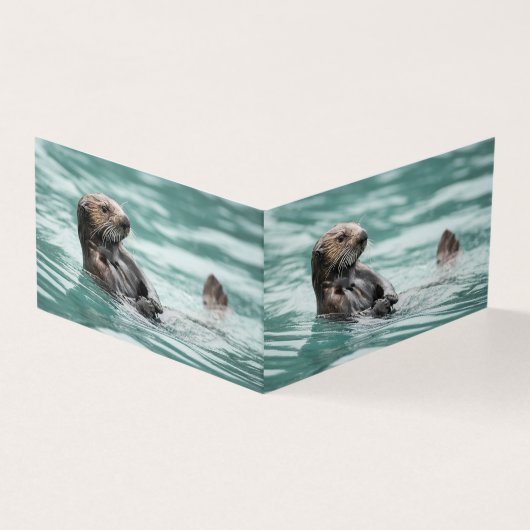 Observation de la Loupe de mer (Outside)