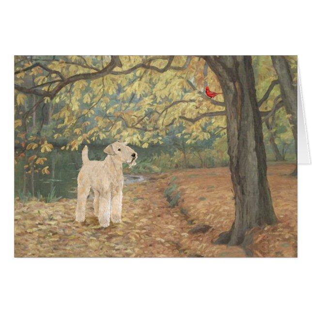 Observation des oiseaux de Lakeland Terrier (Devant horizontal)