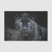 Obsidiaan oog decoupage tissuepapier (Voorkant)