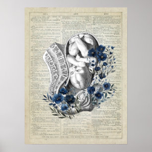 Obstetrie Baby in de baarmoeder anatomie Blauwe Bl Poster