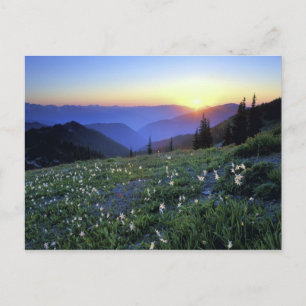 Obstruciton Point Zonsondergang, Olympic NP, WA, U Briefkaart