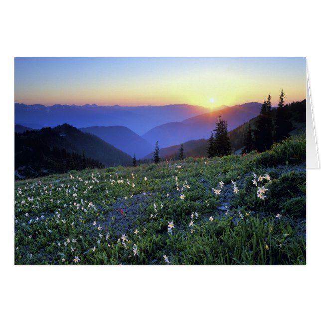 Obstruction Point Sunset, Olympic NP, WA, Verenigd (Voorkant Horizontaal)