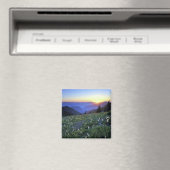 Obstruction Point Sunset, Olympic NP, WA, Verenigd Magneet (Insitu (Vaatwasser))