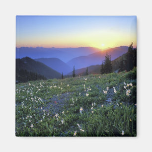 Obstruction Point Sunset, Olympic NP, WA, Verenigd Magneet