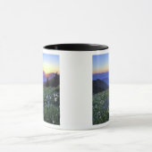 Obstruction Point Sunset, Olympic NP, WA, Verenigd Mok (Midden)