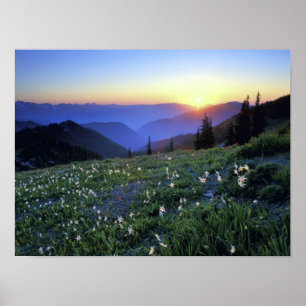 Obstruction Point Sunset, Olympic NP, WA, Verenigd Poster