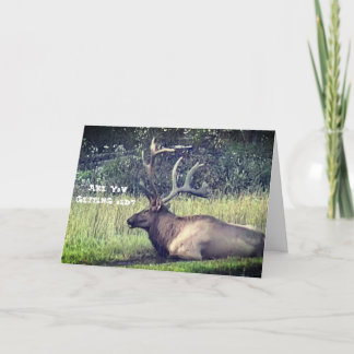 "Obtenant la vieille" carte d'anniversaire