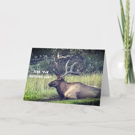 "Obtenant la vieille" carte d'anniversaire (Devant)