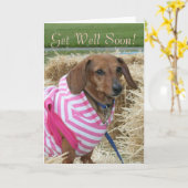 Obtenez Bien Bientôt Carte de voeux Dachshund (Fleur jaune)