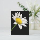 Obtenez Bien Bientôt Carte Postale Daisy (Debout devant)