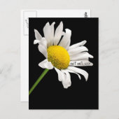 Obtenez Bien Bientôt Carte Postale Daisy (Devant / Derrière)