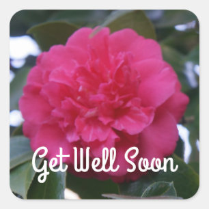 Obtenez Bien Bientôt Stickers Daikagura Camellia R