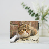 Obtenez bientôt la carte de chat (Debout devant)