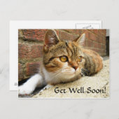 Obtenez bientôt la carte de chat (Devant / Derrière)