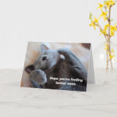 Obtenez bientôt une belle carte de chat (Fleur jaune)