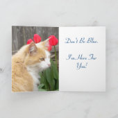 Obtenez la carte Well Blue Kitty (Intérieur)