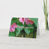 Obtenez le bon panier de la carte Impatiens (Dos)