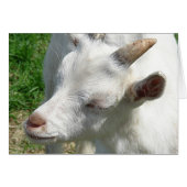 Obtenez-moi quelques nuances (Devant horizontal)