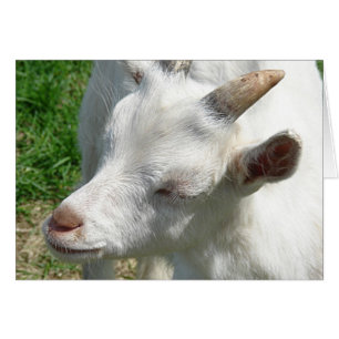 Obtenez-moi quelques nuances