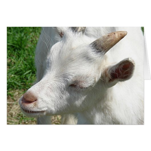 Obtenez-moi quelques nuances (Devant horizontal)