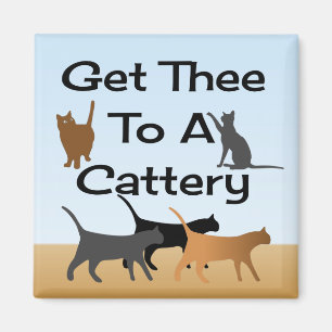 Obtenez Thee à un aimant de pension pour chats