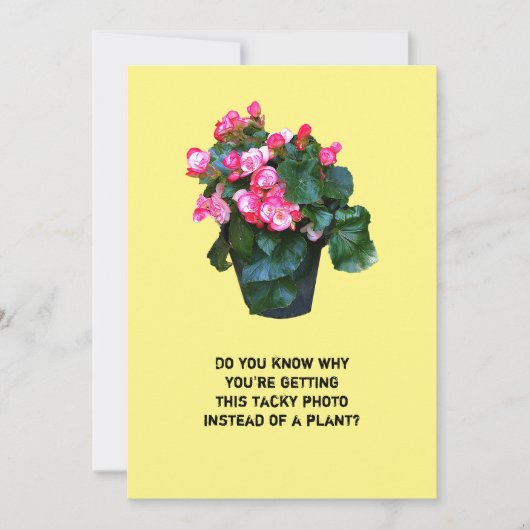 Obtenez un pot fleuri bien kitsch, une carte de vo (Devant)