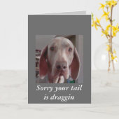 Obtenir la carte well (Fleur jaune)